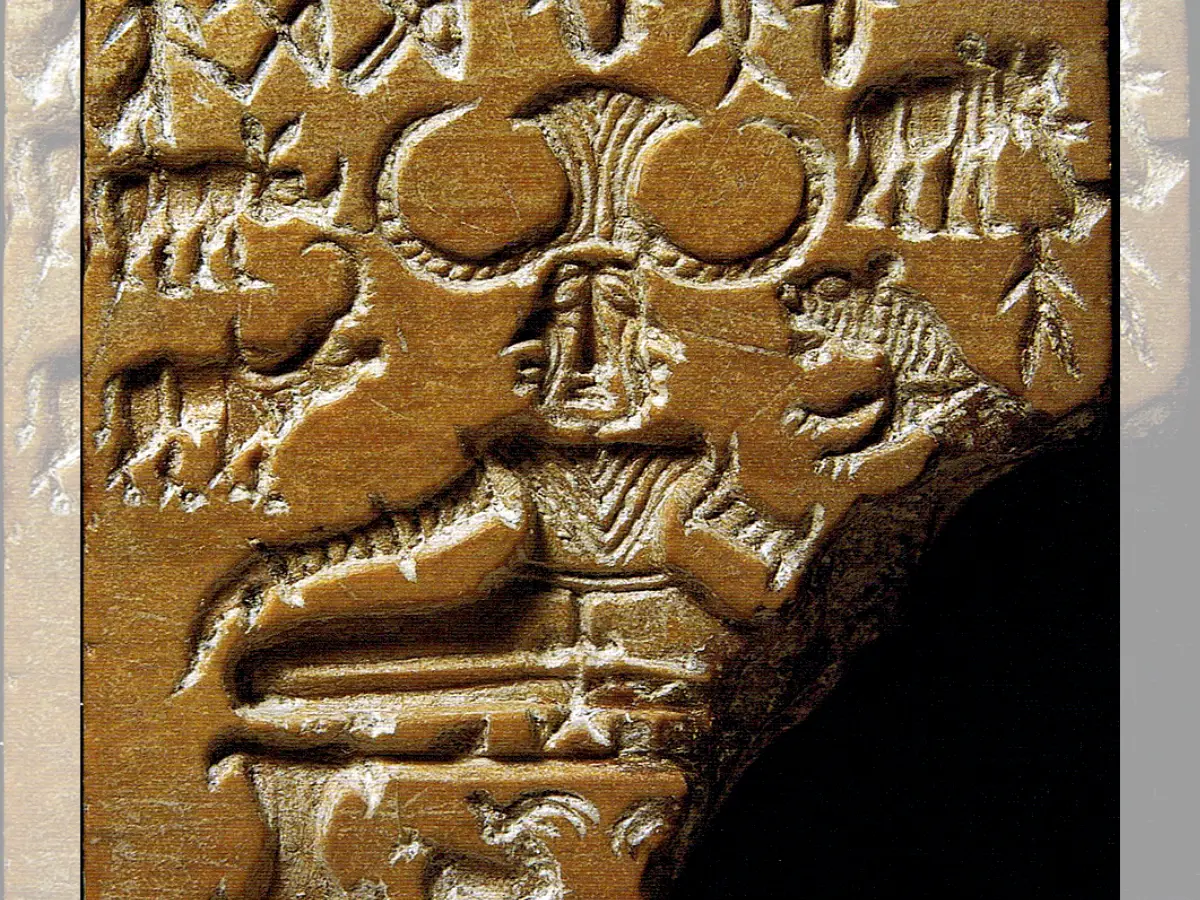 From Indus Valley to Instagram: 5,000 years of yoga and journey of a civilization From Indus Valley to Instagram: 5,000 years of yoga and journey of a civilization