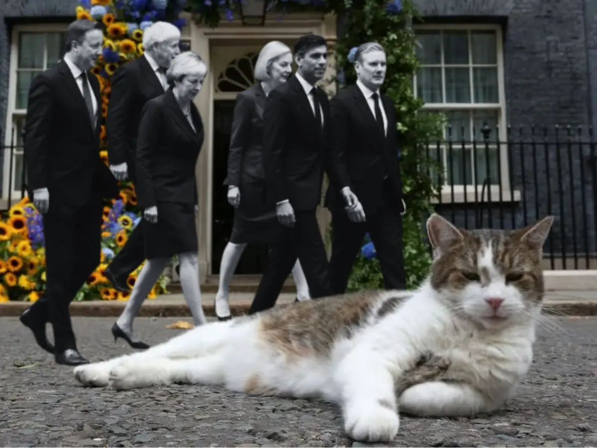 'Another one bites the dust': Larry the cat is now fed up with PMs resignations in the UK, doesn't want to remember their names