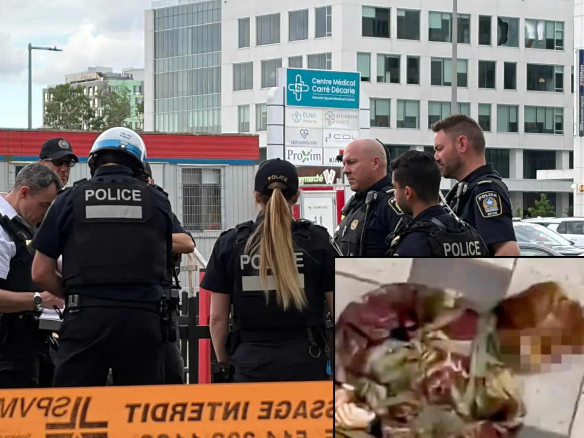 Montreal shooter's 104-page manifesto reveals his hate for women and capitalism Montreal shooter's 104-page manifesto reveals his hate for women and capitalism