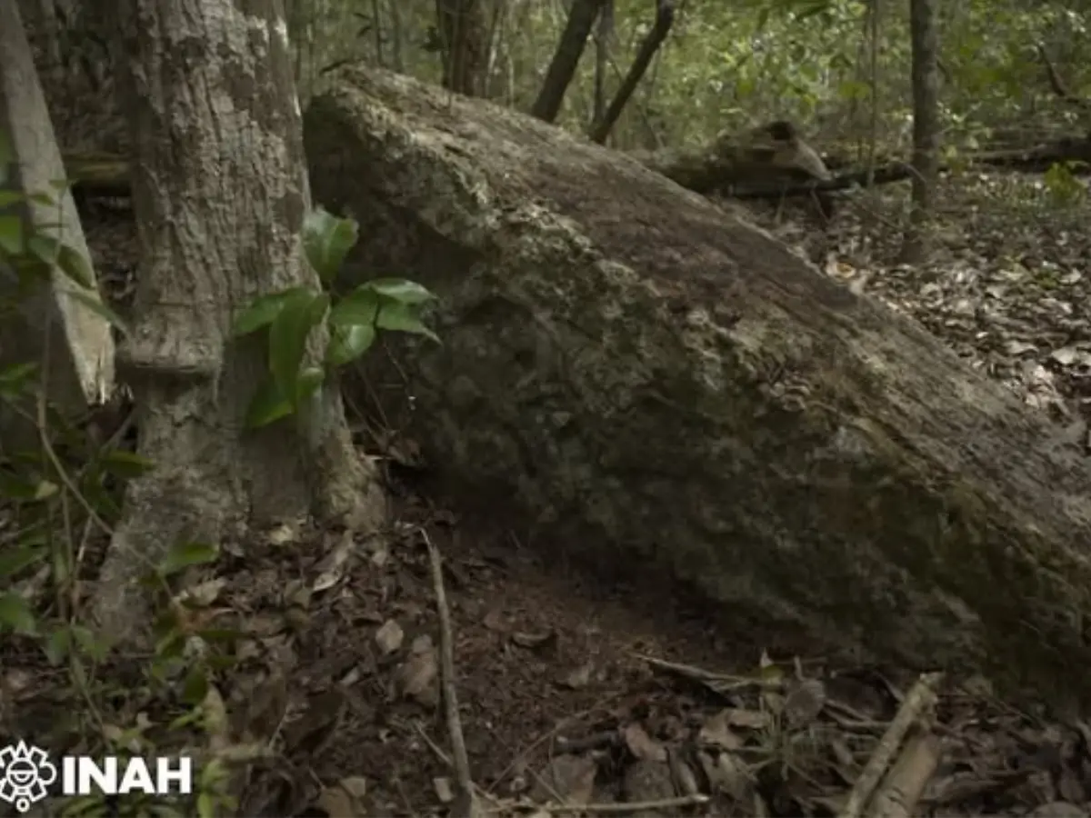 Pristine Mayan city discovered inside Mexican jungle was hidden for 1,000 years Pristine Mayan city discovered inside Mexican jungle was hidden for 1,000 years