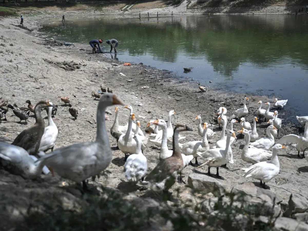 Analysis: Economic toll of heatwaves and droughts on India amid Europe heatwave
