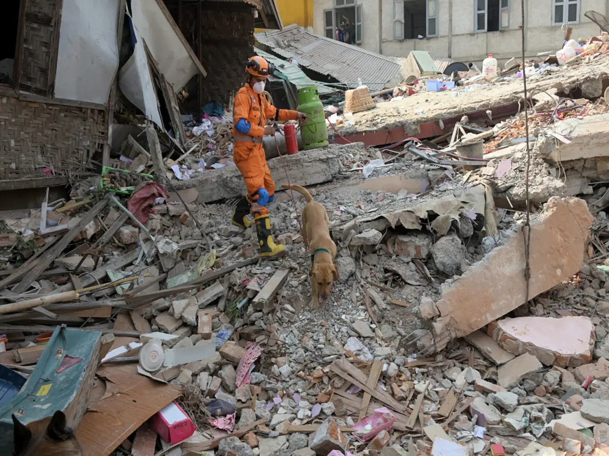 Why is Venezuela frequently hit by devastating earthquakes? WION Decodes reason behind major seismic events
