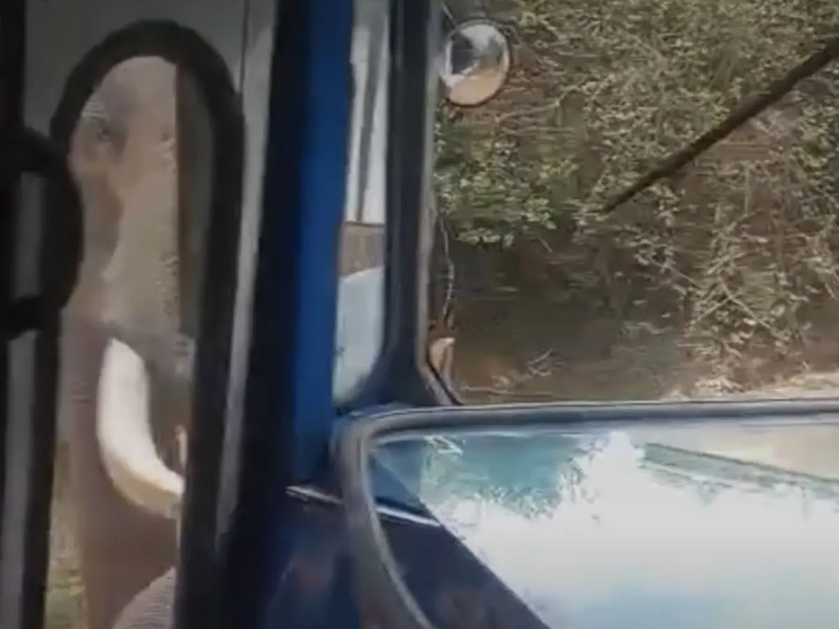 Watch: Wild elephant attacks Air Force bus in Sri Lanka, passengers escape unhurt Watch: Wild elephant attacks Air Force bus in Sri Lanka, passengers escape unhurt