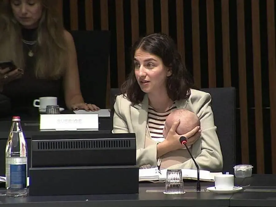 Youngest delegate? Sweden’s minister Romina Pourmokhtari brings baby to EU meeting on climate
