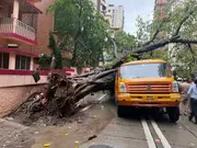 Mumbai: 11-year-old dies after tree falls on school bus during heavy rains