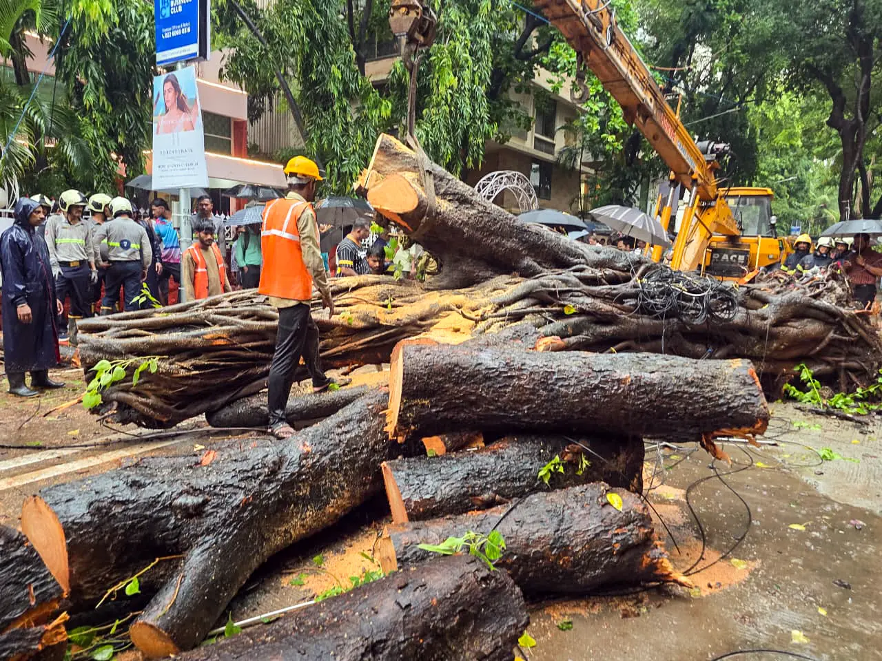 'He was our sunshine': Family mourns Vihaan Srivastava after Chembur tree collapse 'He was our sunshine': Family mourns Vihaan Srivastava after Chembur tree collapse