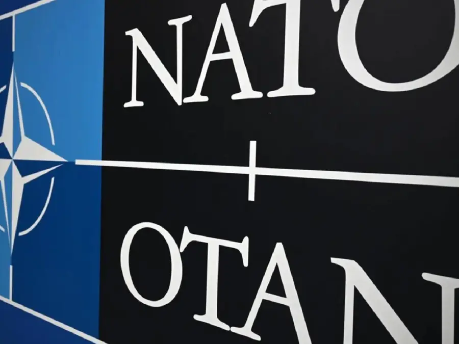 NATO’s trusted allies: Which nations have special defence partnerships without being in alliance?