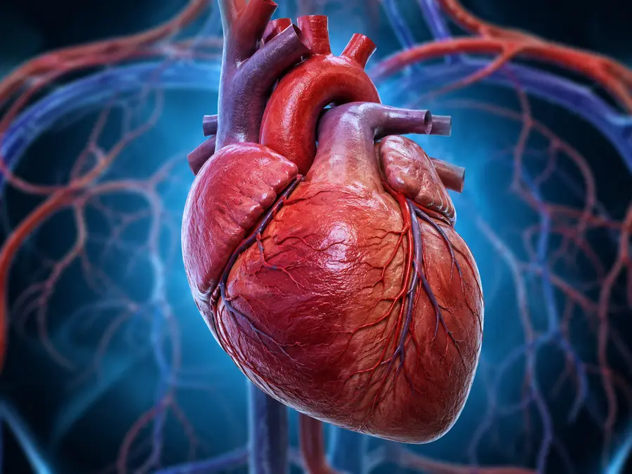 Why your heart benefits from simple daily habits