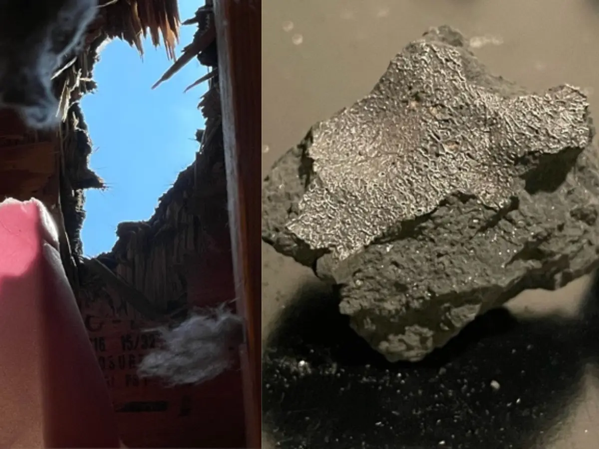 'Alien chemistry' discovered in meteorite that crashed into a New Jersey bedroom 'Alien chemistry' discovered in meteorite that crashed into a New Jersey bedroom