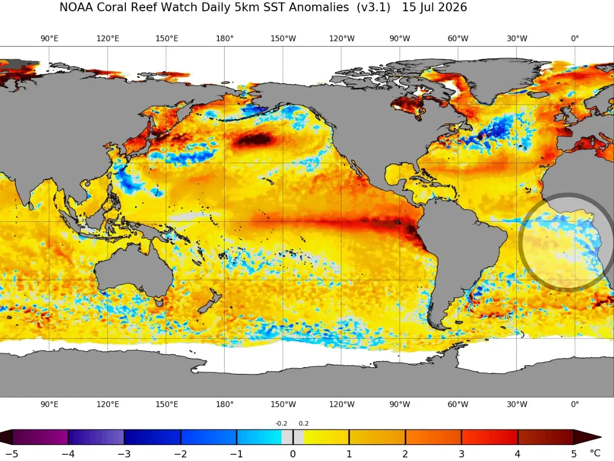 5 times in 40 years: Rare Atlantic Niña could soon grip Earth as Super El Niño tightens its jaws. What to expect? 5 times in 40 years: Rare Atlantic Niña could soon grip Earth as Super El Niño tightens its jaws. What to expect?