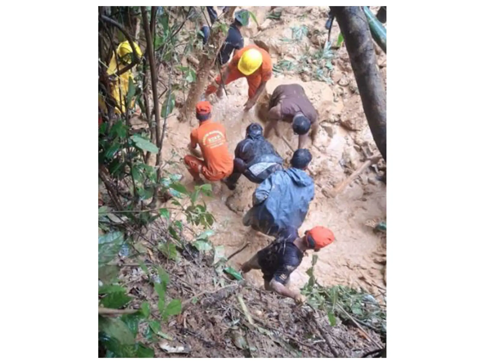 8 killed, 12 injured in Nagaland landslides as heavy rain batters Mon district 8 killed, 12 injured in Nagaland landslides as heavy rain batters Mon district