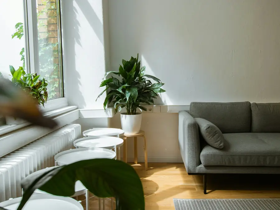 De-stress by changing a few things at home as per Vastu rules