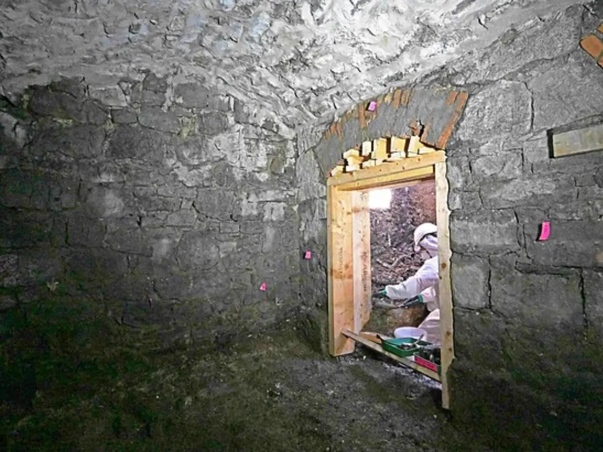 Irish horror house where nearly 800 babies were experimented on reveals remains of 22 more infants Irish horror house where nearly 800 babies were experimented on reveals remains of 22 more infants
