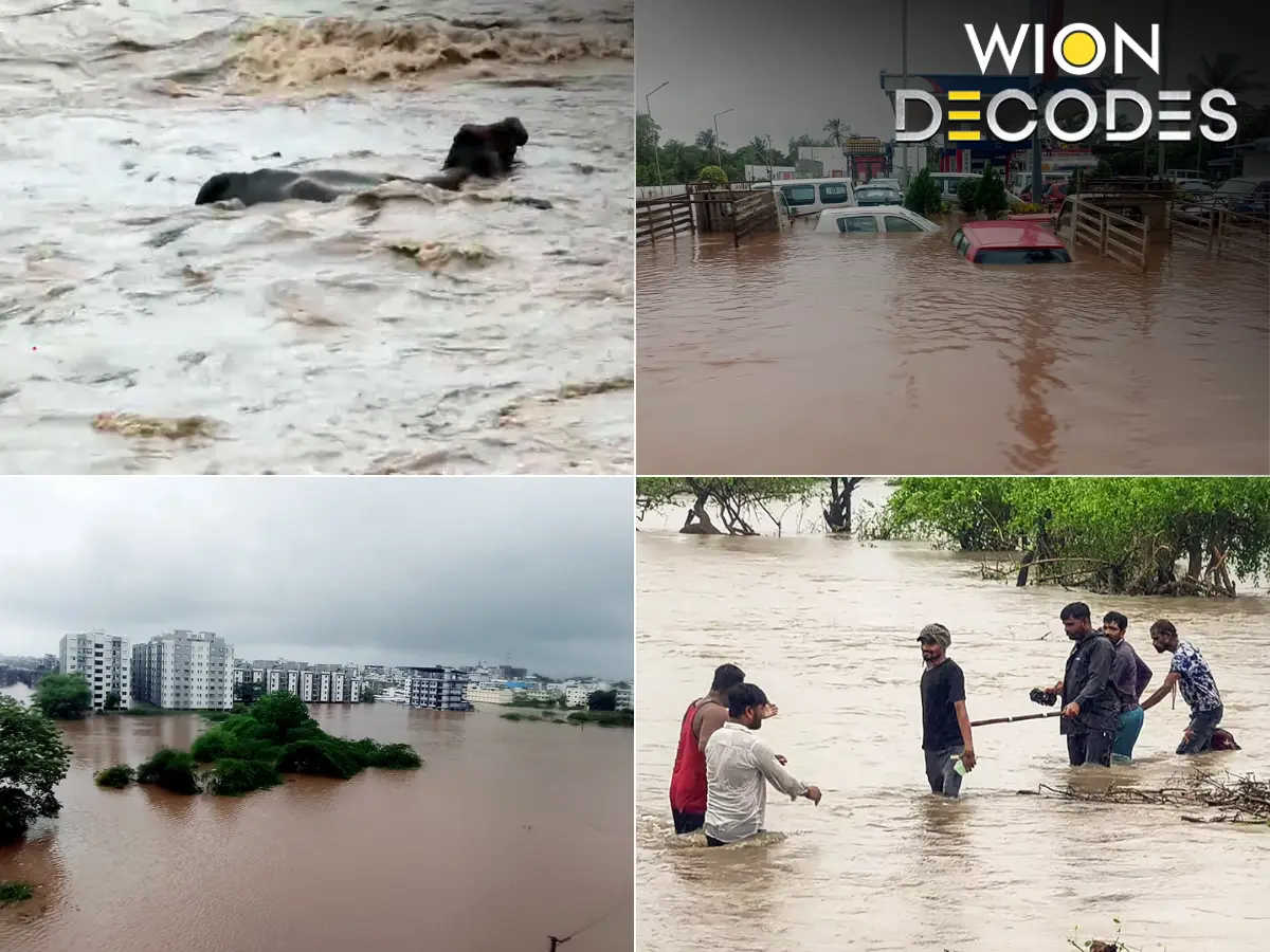 Did scientists miss the real reason behind Gujarat's record rain? Meet the Pacific Decadal Oscillation | WION Decodes Did scientists miss the real reason behind Gujarat's record rain? Meet the Pacific Decadal Oscillation | WION Decodes