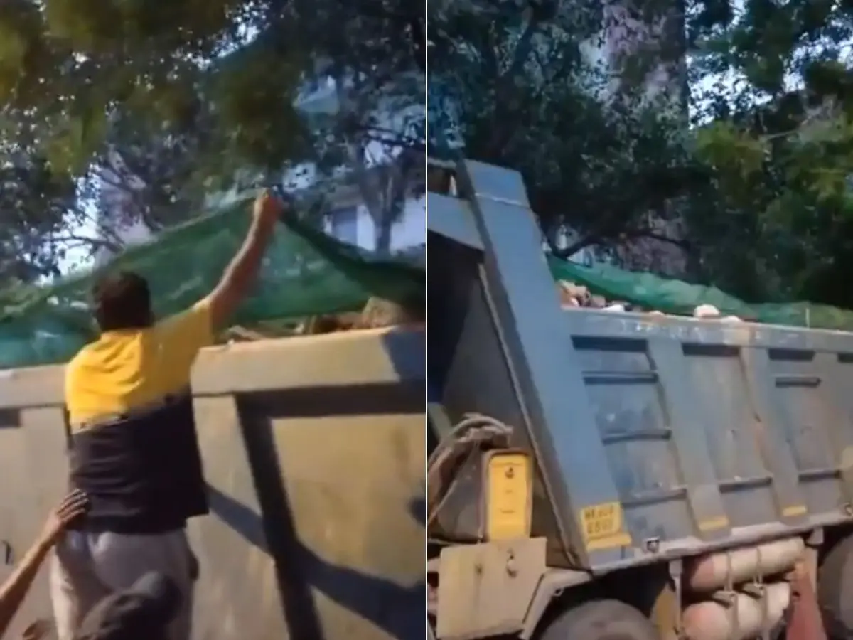 Was stone-laden truck planted at Jantar Mantar before CJP march? Delhi Police reveals truth about ‘conspiracy’ claim Was stone-laden truck planted at Jantar Mantar before CJP march? Delhi Police reveals truth about ‘conspiracy’ claim
