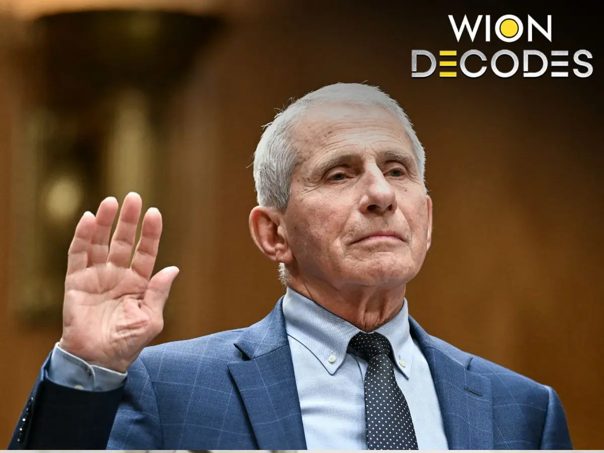 Former top US Covid expert Fauci pleads Fifth during Senate hearing over Covid origins: What is the amendment? Former top US Covid expert Fauci pleads Fifth during Senate hearing over Covid origins: What is the amendment?
