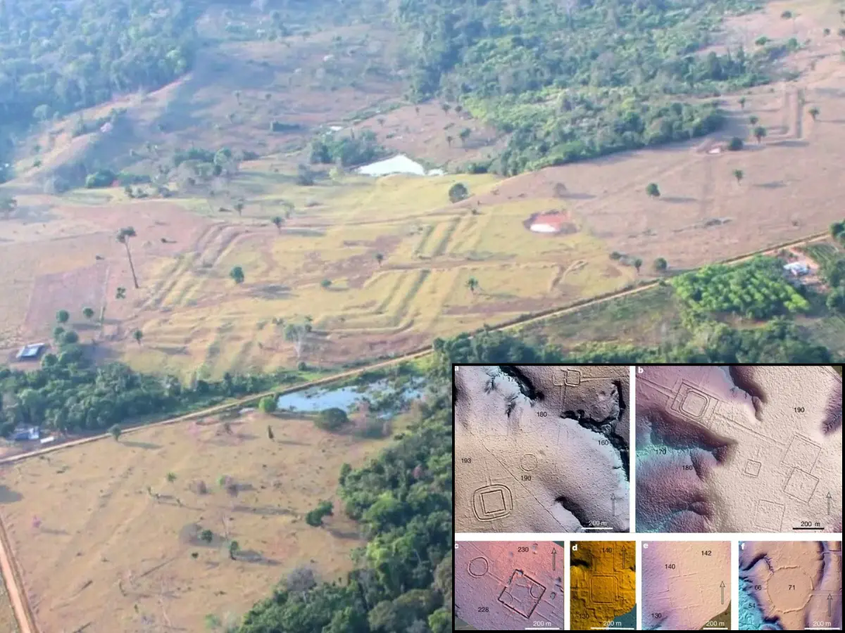Mysterious structures uncovered beneath the Amazon show millions of humans once lived here Mysterious structures uncovered beneath the Amazon show millions of humans once lived here