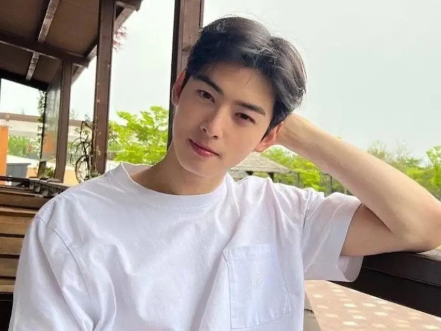 K-pop idol-actor Cha Eun Woo challenges $9.5 million tax assessment after settling payment