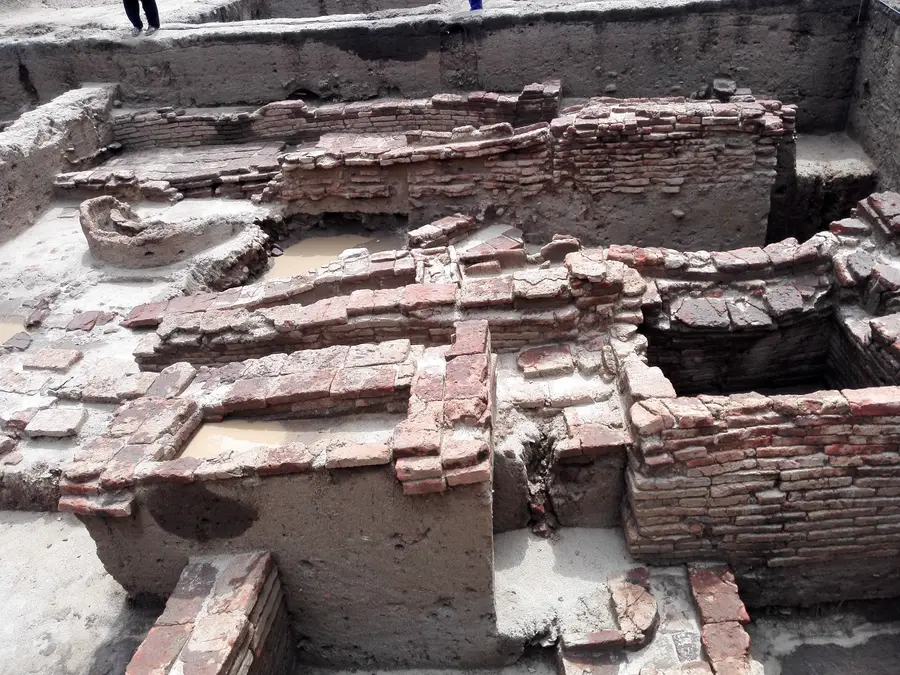 The genetic roots of Tamils: 75,000 DNA markers decoded in latest study of Sangam-era settlement