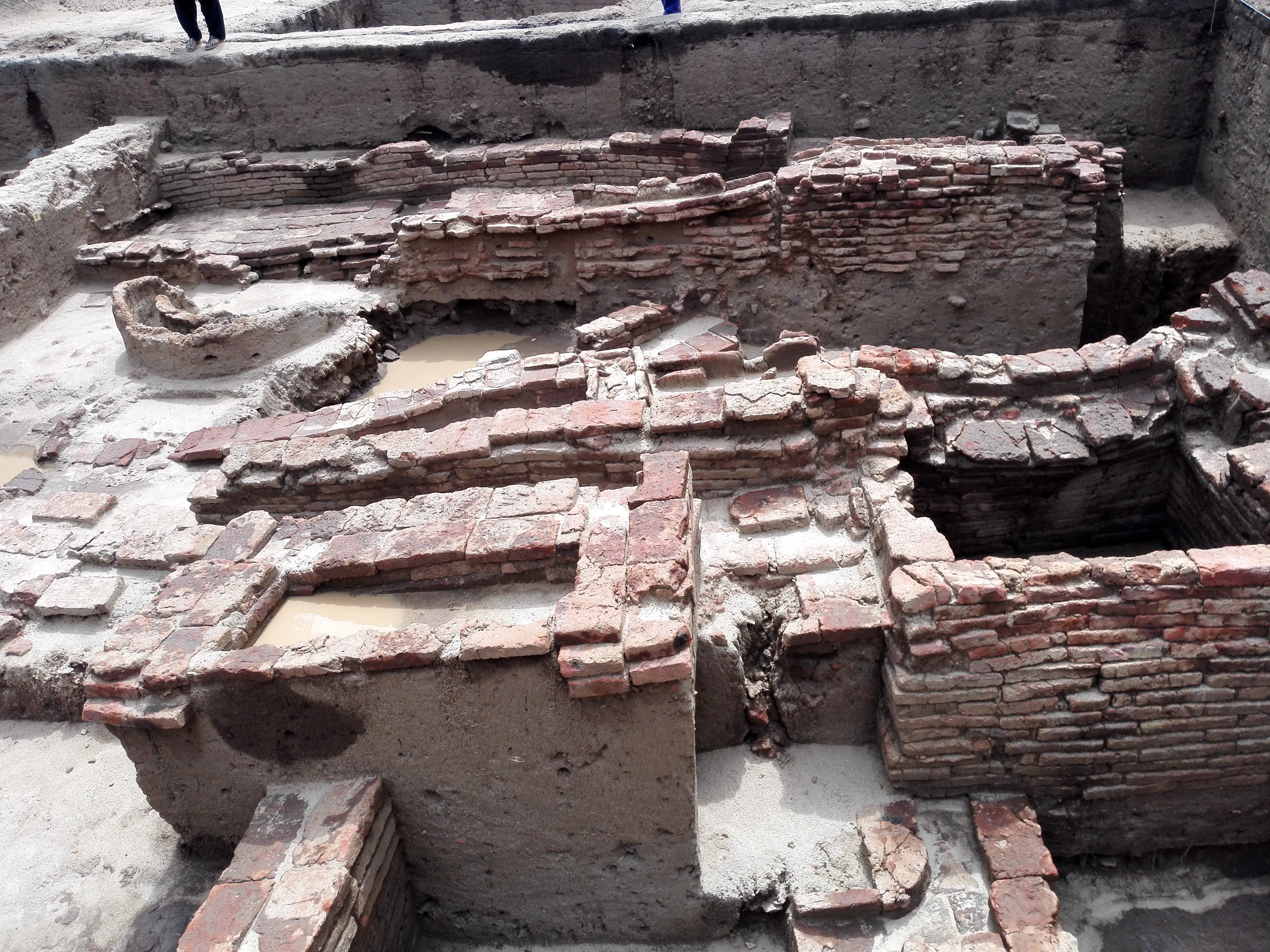 The genetic roots of Tamils: 75,000 DNA markers decoded in latest study of Sangam-era settlement The genetic roots of Tamils: 75,000 DNA markers decoded in latest study of Sangam-era settlement