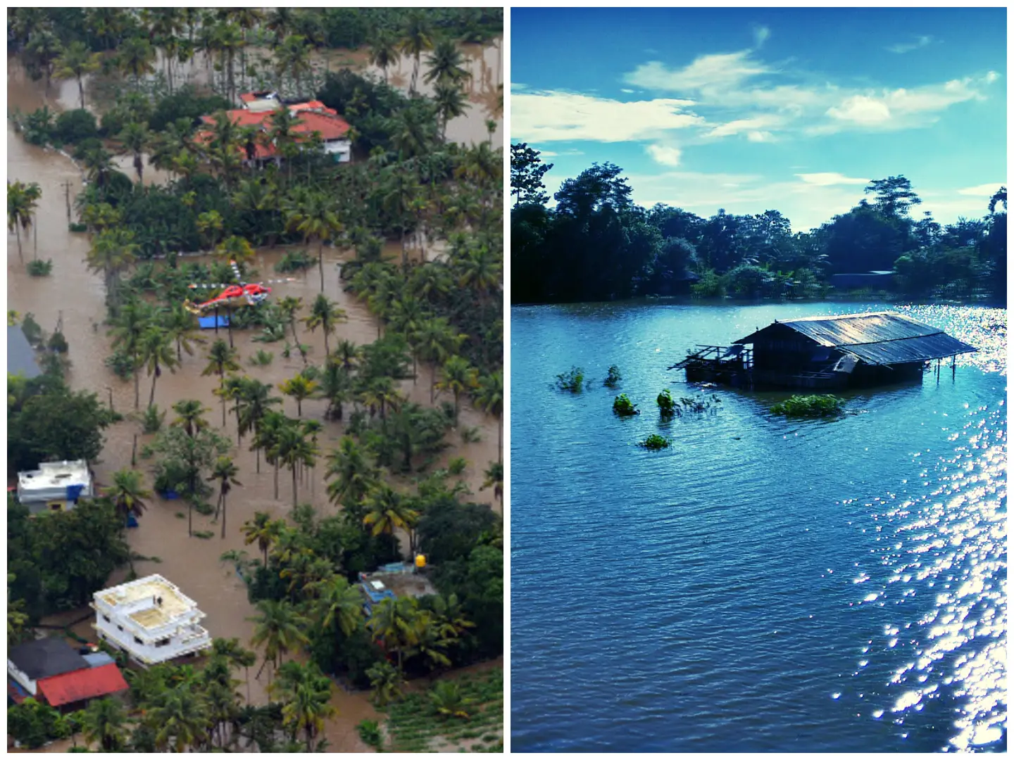 India floods: How are states faring? From Kerala's AI-assisted alert systems to tackling Assam's mighty Brahmaputra, it's complicated India floods: How are states faring? From Kerala's AI-assisted alert systems to tackling Assam's mighty Brahmaputra, it's complicated