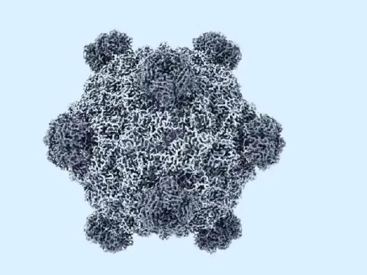 AI just made the first viruses that do not exist on Earth. 'That's how they create the next zombie virus,' netizens say AI just made the first viruses that do not exist on Earth. 'That's how they create the next zombie virus,' netizens say