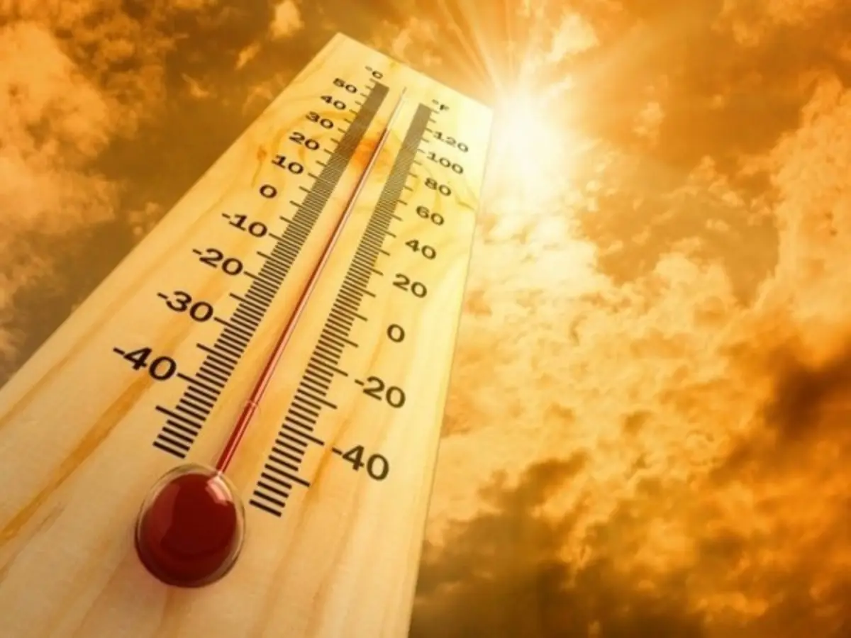 Intense heatwave to grip UK next week, temperature to touch 36 degrees Intense heatwave to grip UK next week, temperature to touch 36 degrees
