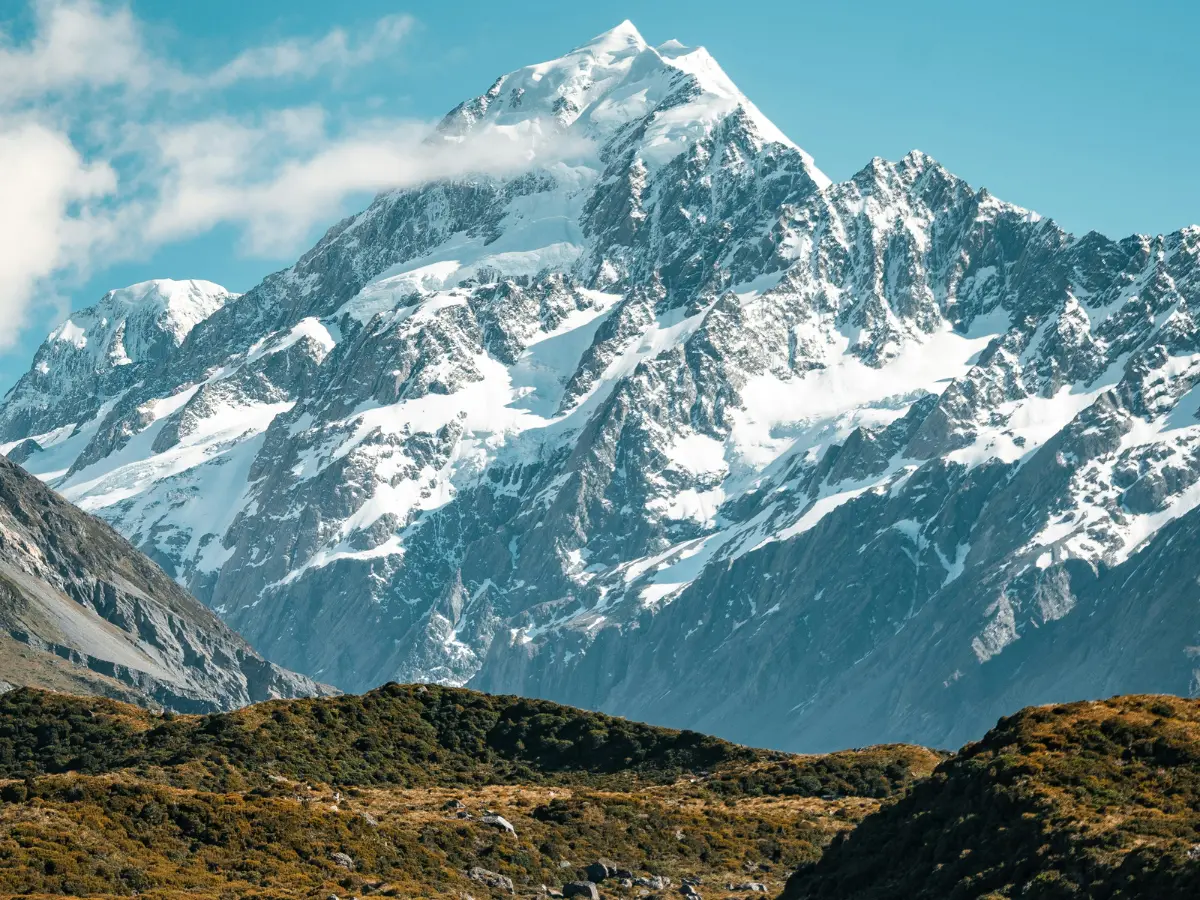 Remains of ancient sea creatures found on Himalayan peak lead chatter that Noah's Ark was real Remains of ancient sea creatures found on Himalayan peak lead chatter that Noah's Ark was real