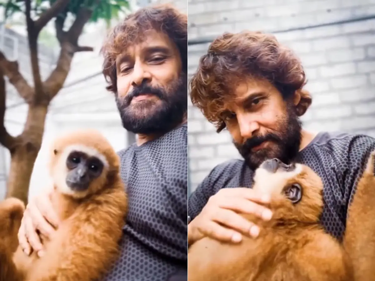 Chiyaan Vikram in legal trouble over Lar gibbon video? Wildlife department launches probe Chiyaan Vikram in legal trouble over Lar gibbon video? Wildlife department launches probe
