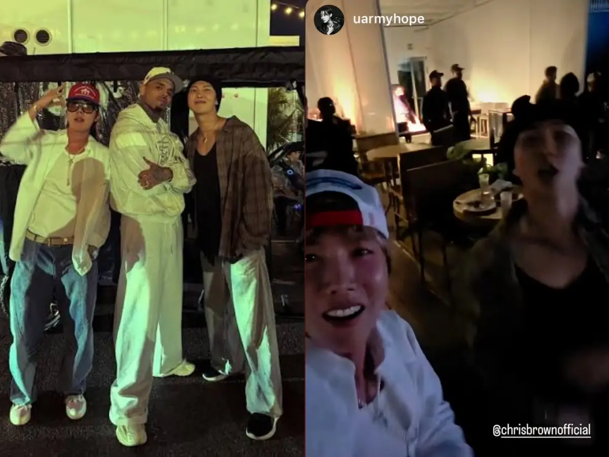 BTS members J-Hope, RM spark outrage over Chris Brown concert appearance: 'That's their problem to be blind'