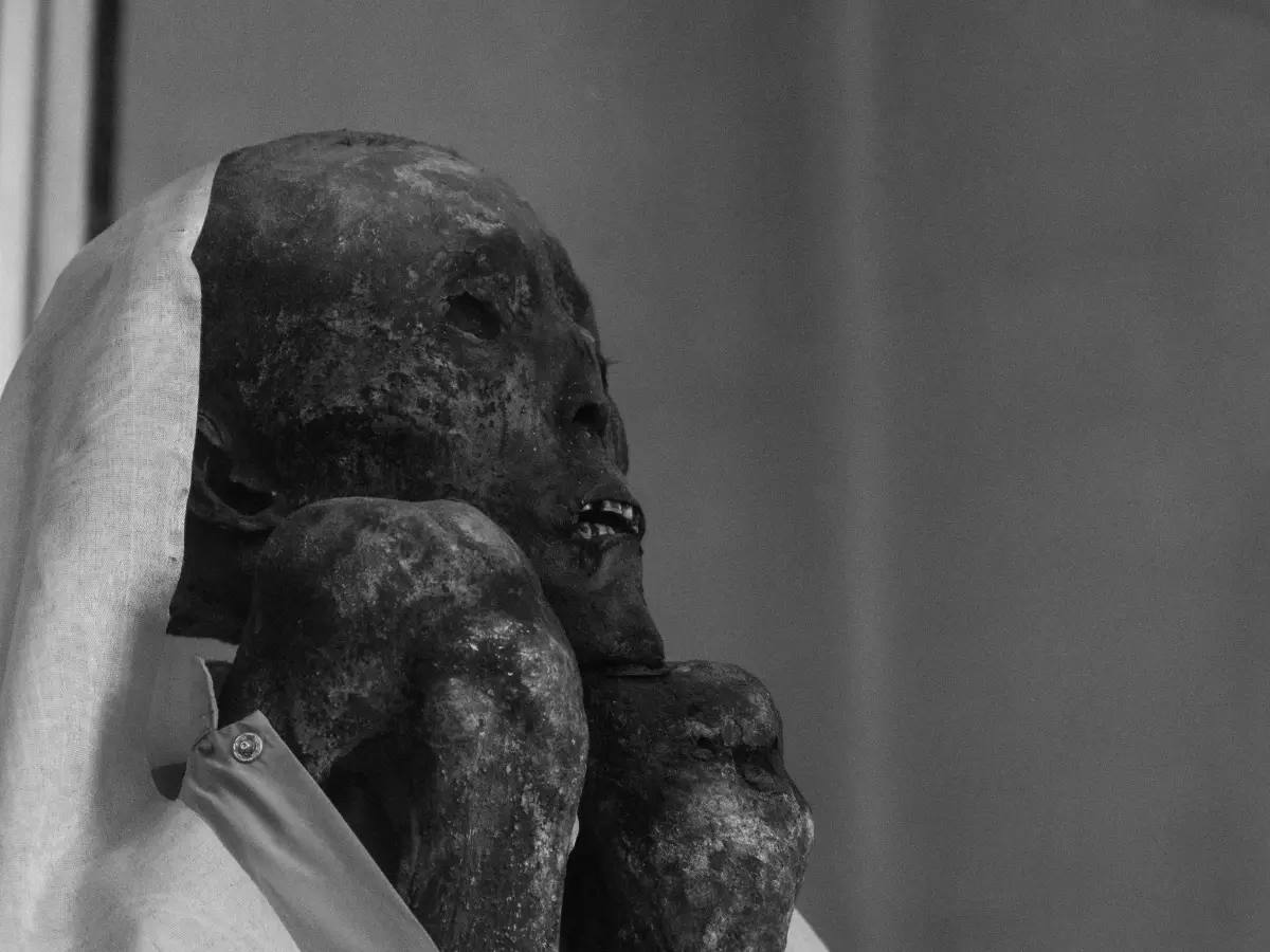 Scientists warn fungus from mummies could be spreading and pose danger to humans Scientists warn fungus from mummies could be spreading and pose danger to humans