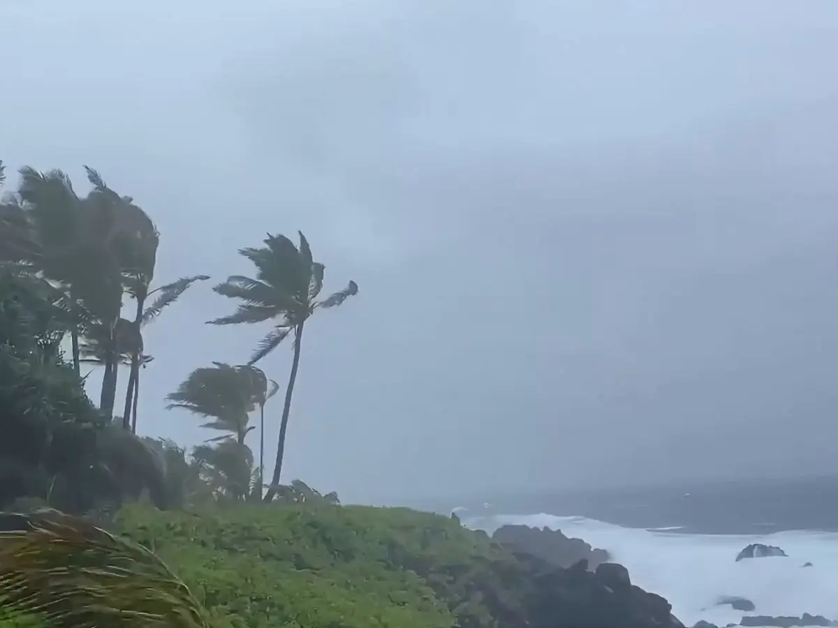 Hurricane Lala batters Hawaii: Over 40,000 left without power as storm strengthens to Category 1, one dead Hurricane Lala batters Hawaii: Over 40,000 left without power as storm strengthens to Category 1, one dead