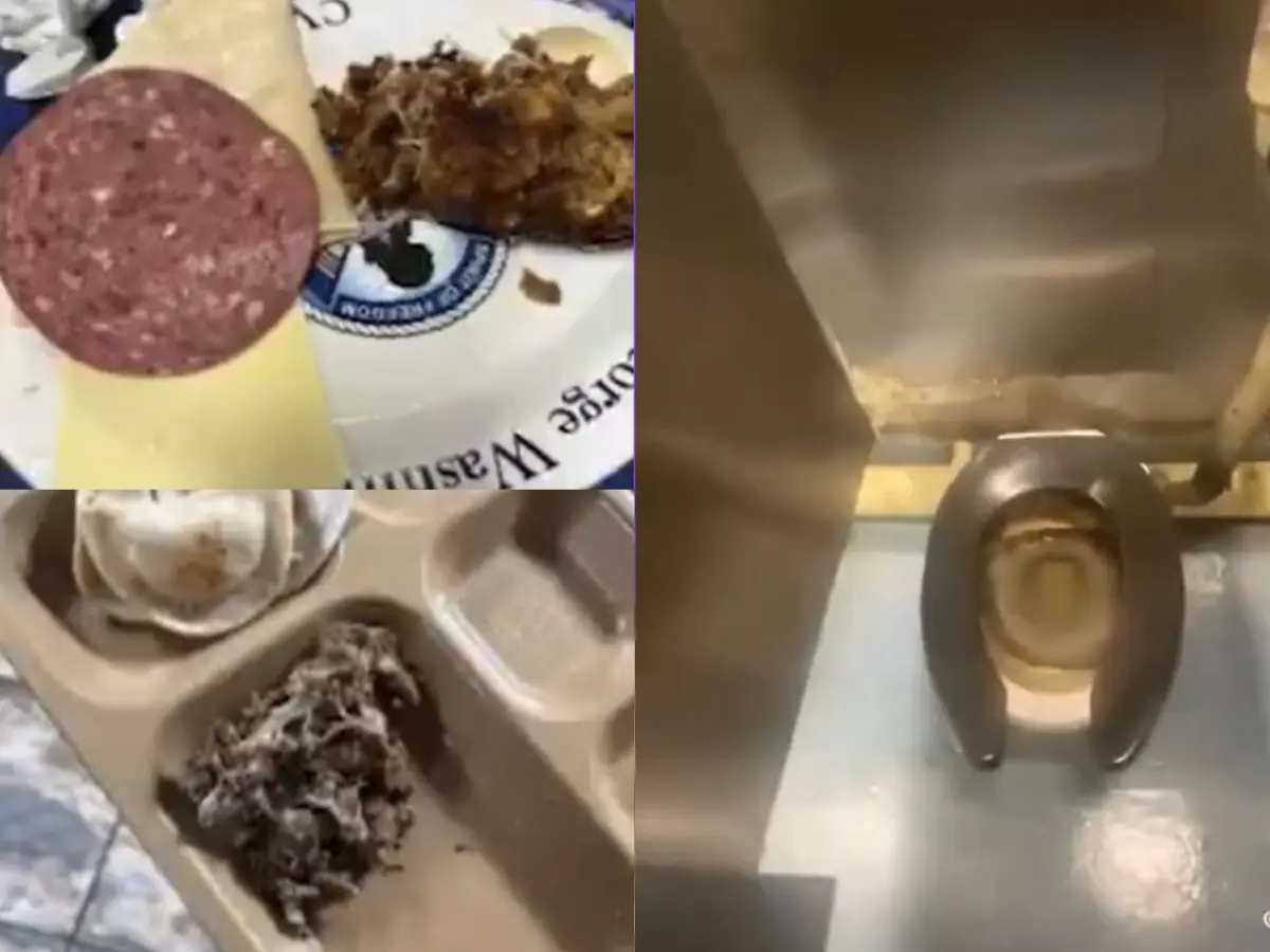 Clogged toilets, rotten food: Viral video allegedly shows condition of US aircraft carriers in West Asia | WATCH