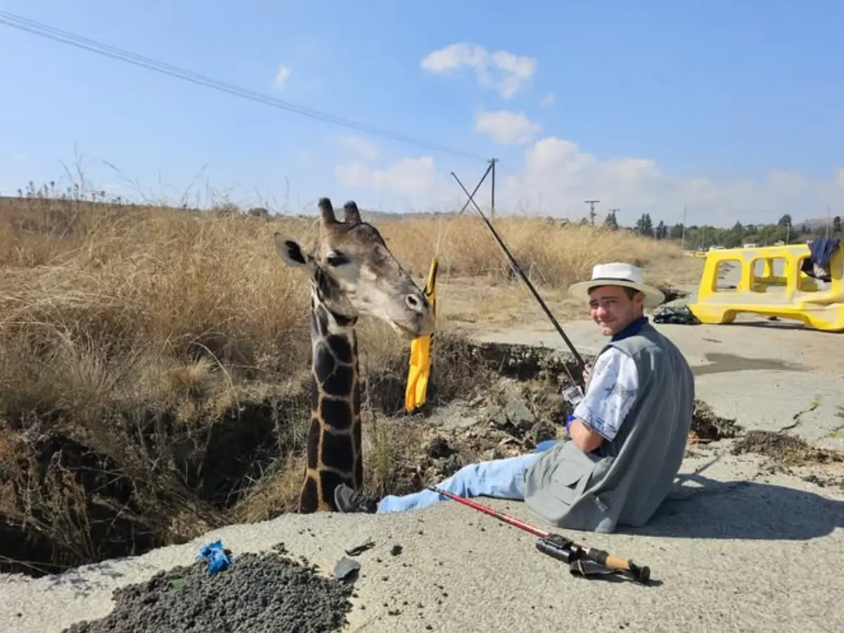 South African party put a dead giraffe's head in a sinkhole. The absurd move backfired badly