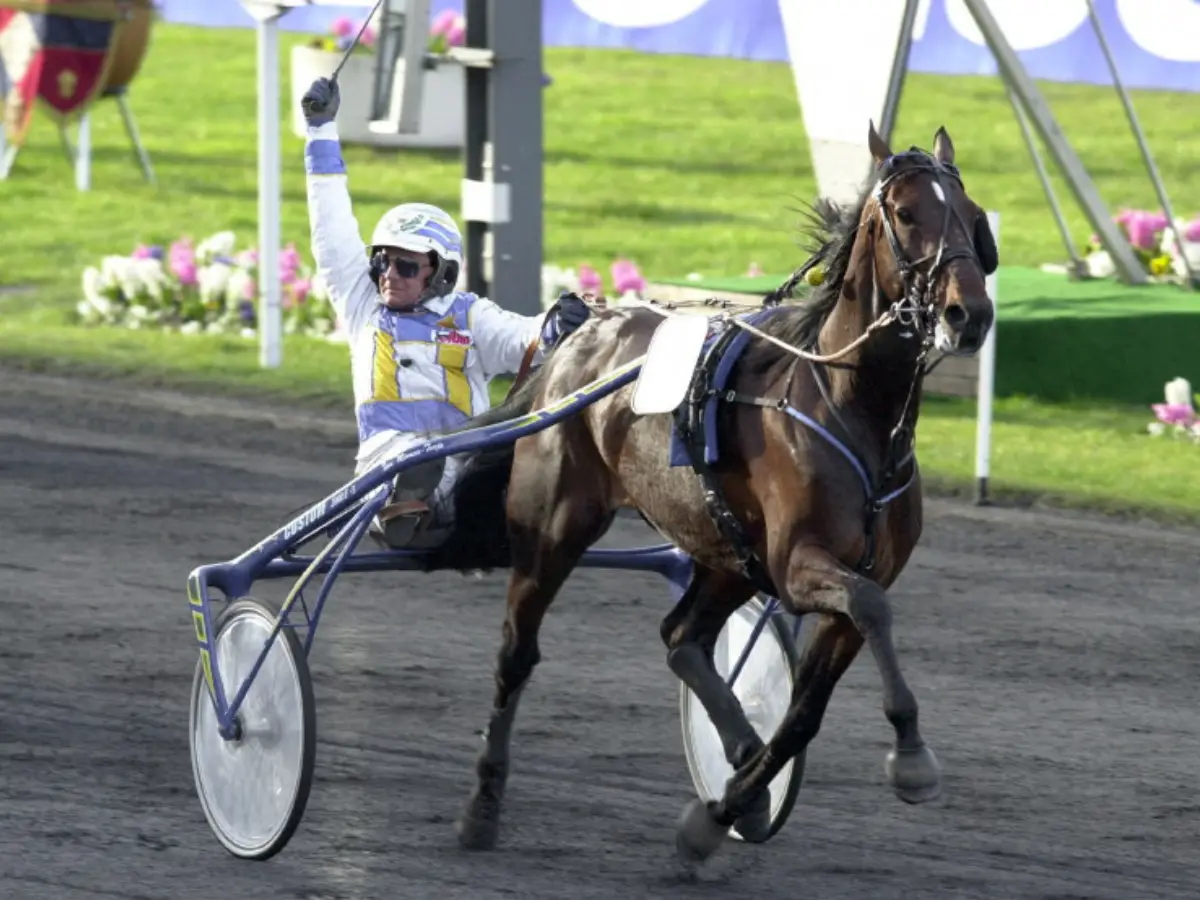 Legendary racehorse Varenne died at 31