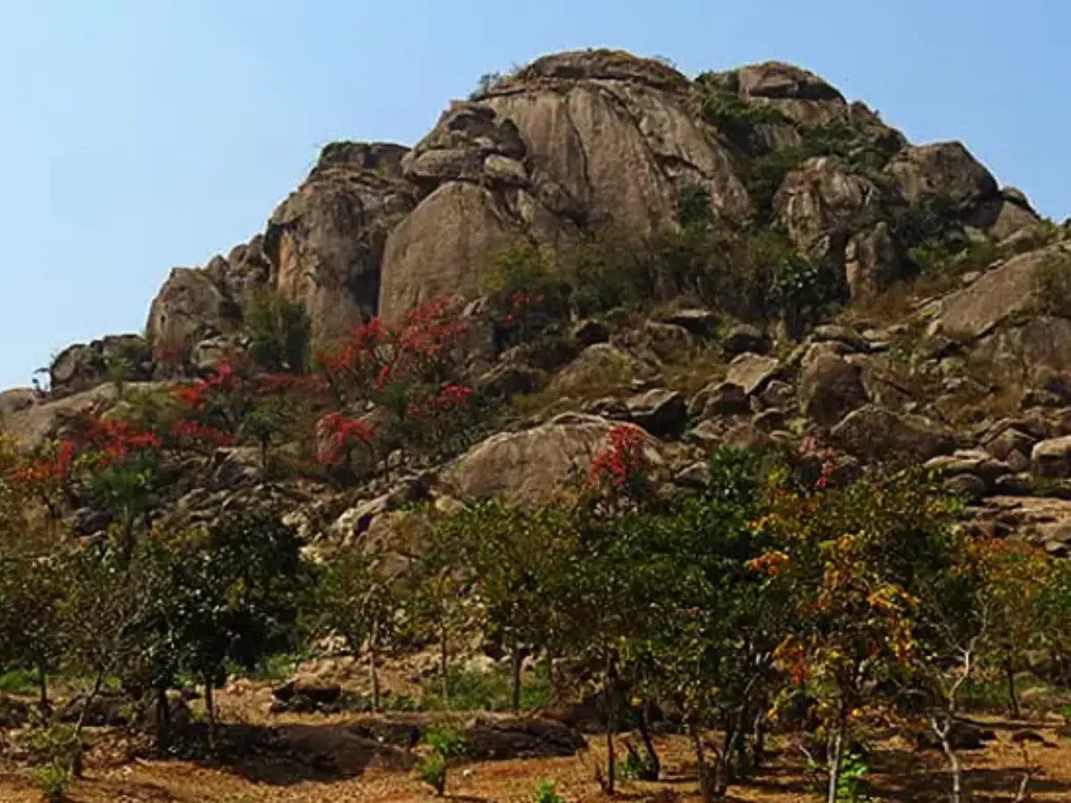 Indian geologist finds 3.5bn-year-old evidence of life in the rocks of Jharkhand