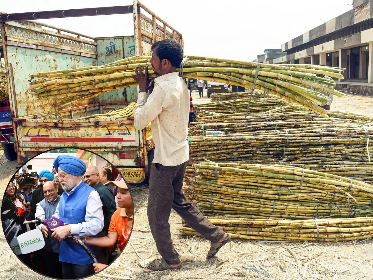 What's behind rising sugar prices in India? Government breaks silence, says 'ethanol...'