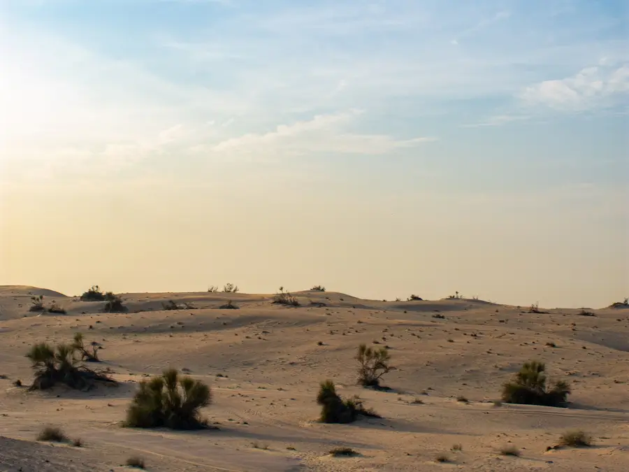 Was Egypt’s desert once a shark-filled sea? Scientists uncover ancient ‘graveyard’