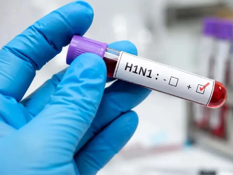 ‘No cause for panic’: ICMR says no new H1N1 strain detected, urges caution for high-risk groups