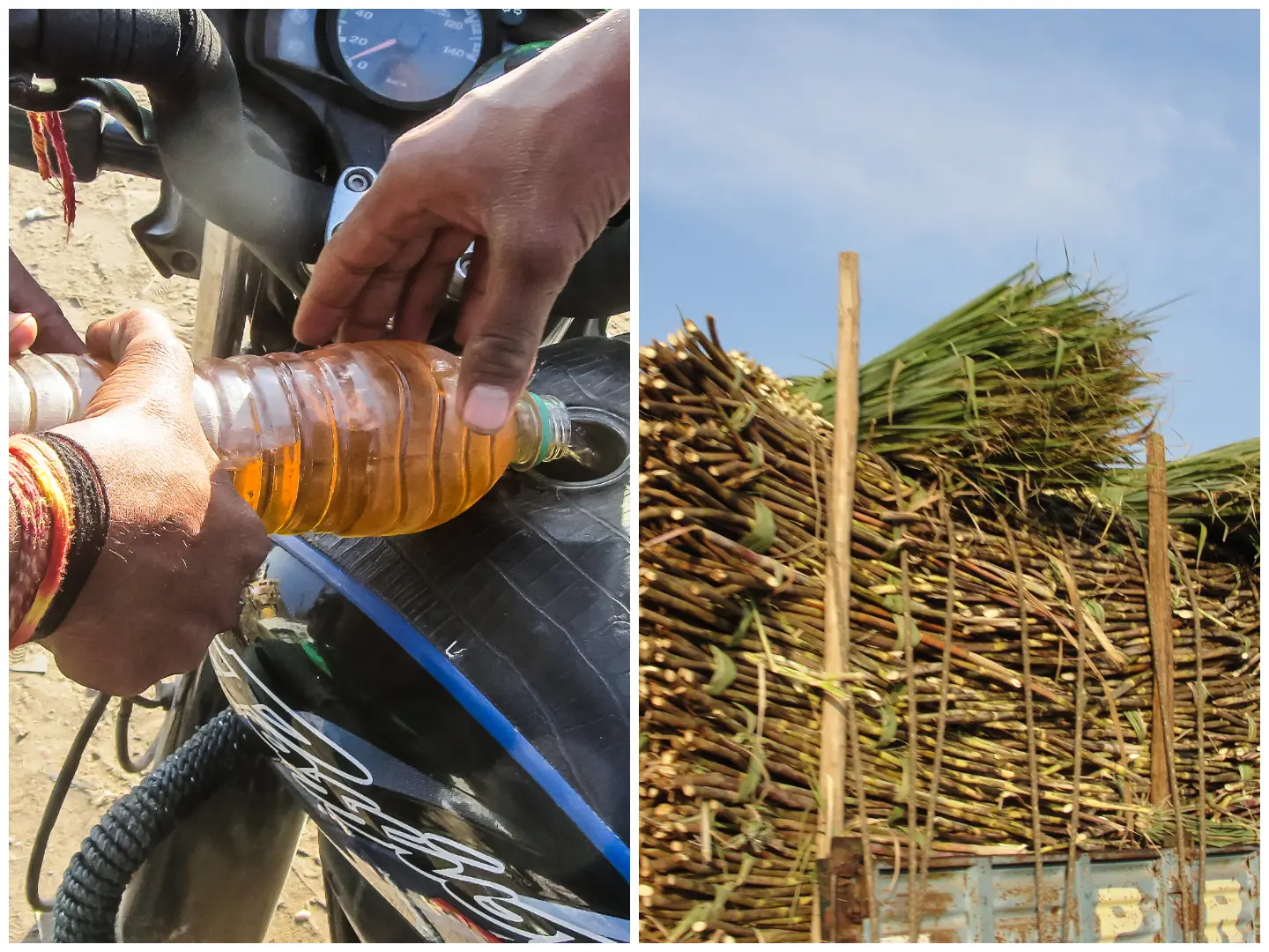 India's sugar-linked stocks soar to 52-week highs even as govt inisists rising prices, shortage not linked to ethanol blending for E20 petrol India's sugar-linked stocks soar to 52-week highs even as govt inisists rising prices, shortage not linked to ethanol blending for E20 petrol