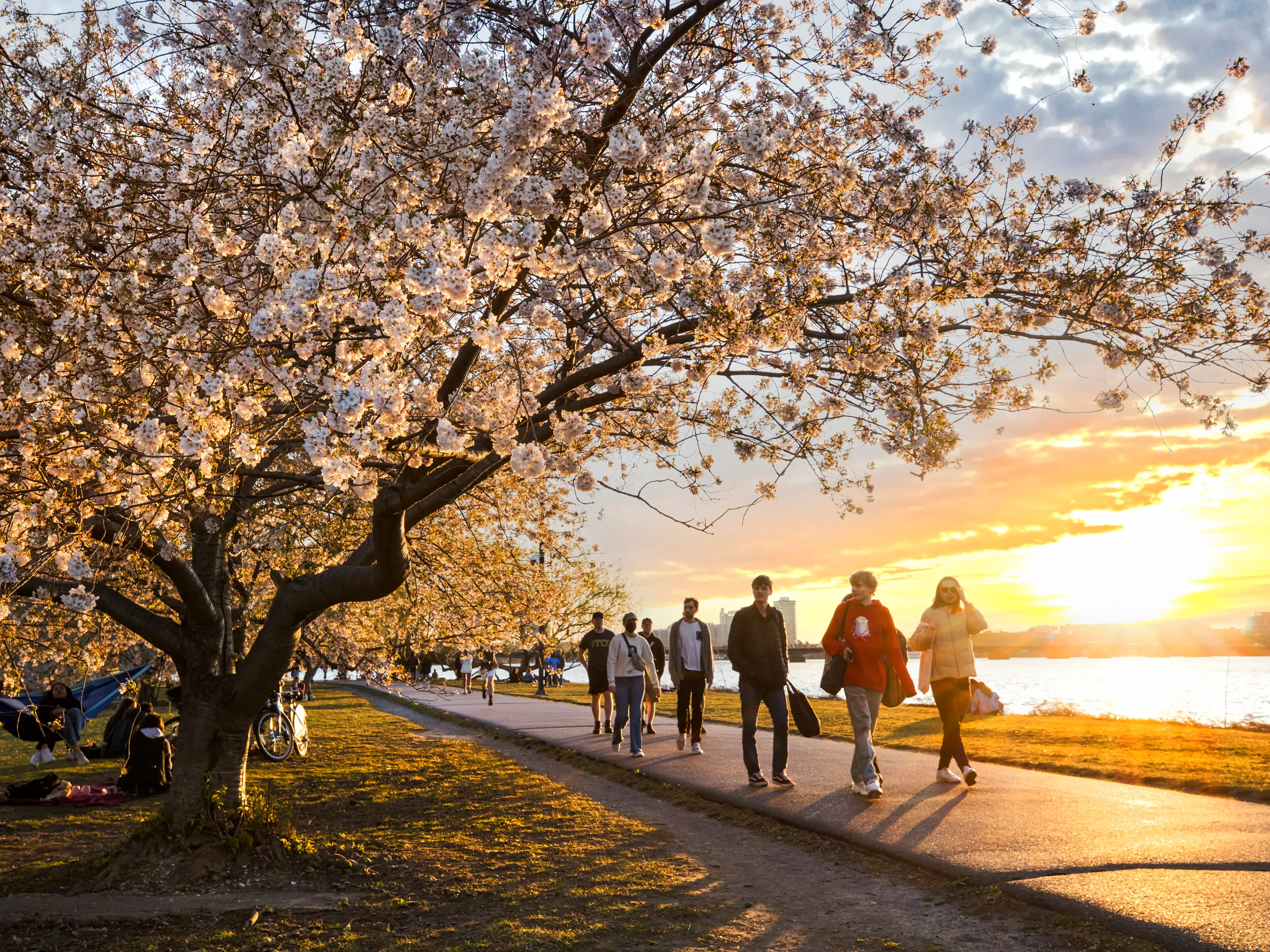 Why walking is one of the best ways to explore a new city Why walking is one of the best ways to explore a new city