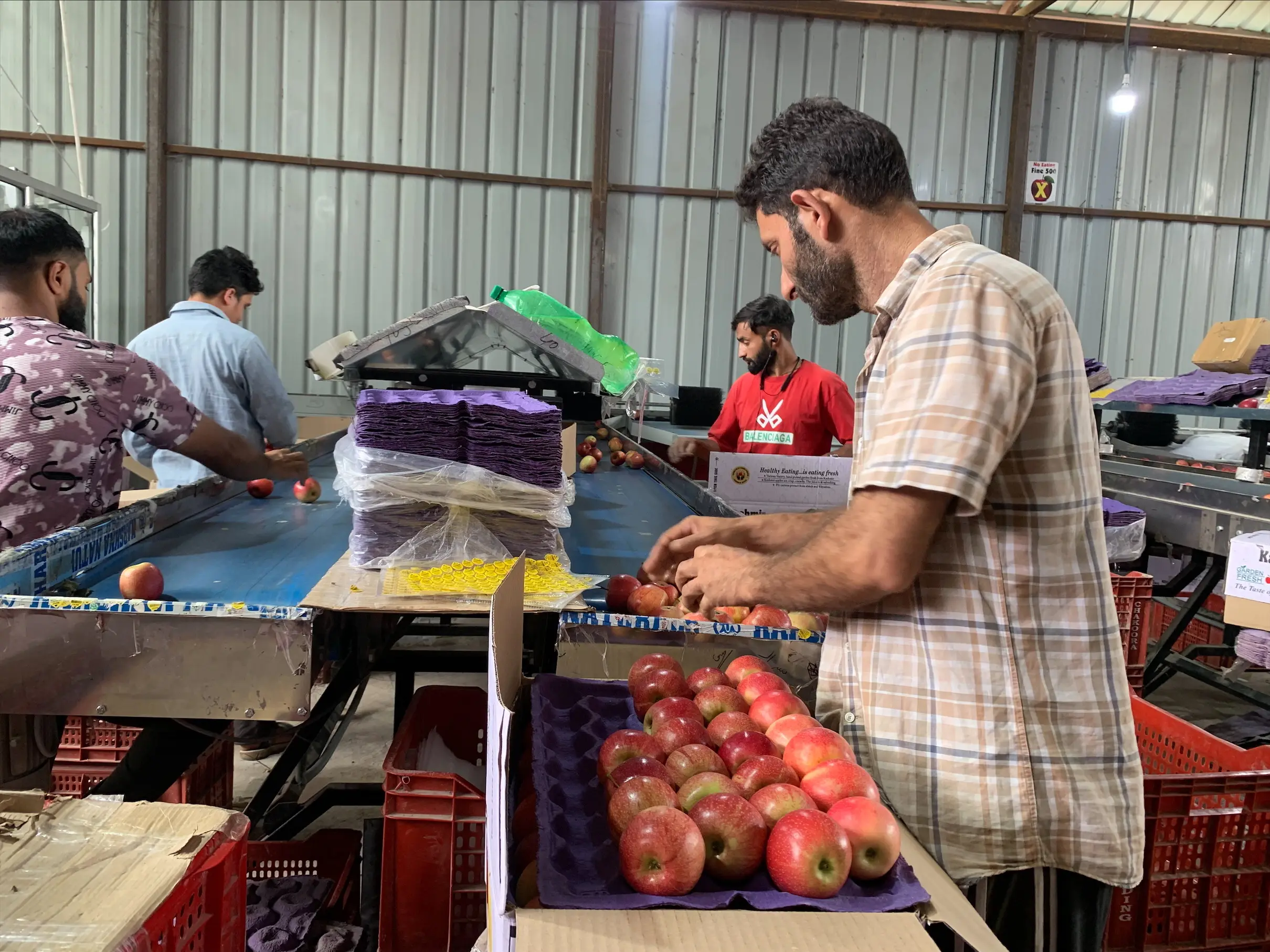 Kashmir apple growers get rail lifeline as special freight trains begin September 1 Kashmir apple growers get rail lifeline as special freight trains begin September 1