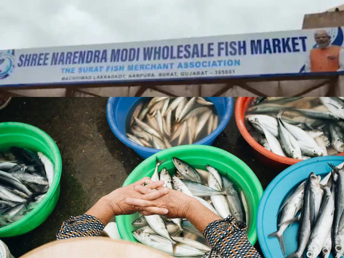 Fish market named after PM Modi? What's the latest fish controversy in Indian politics