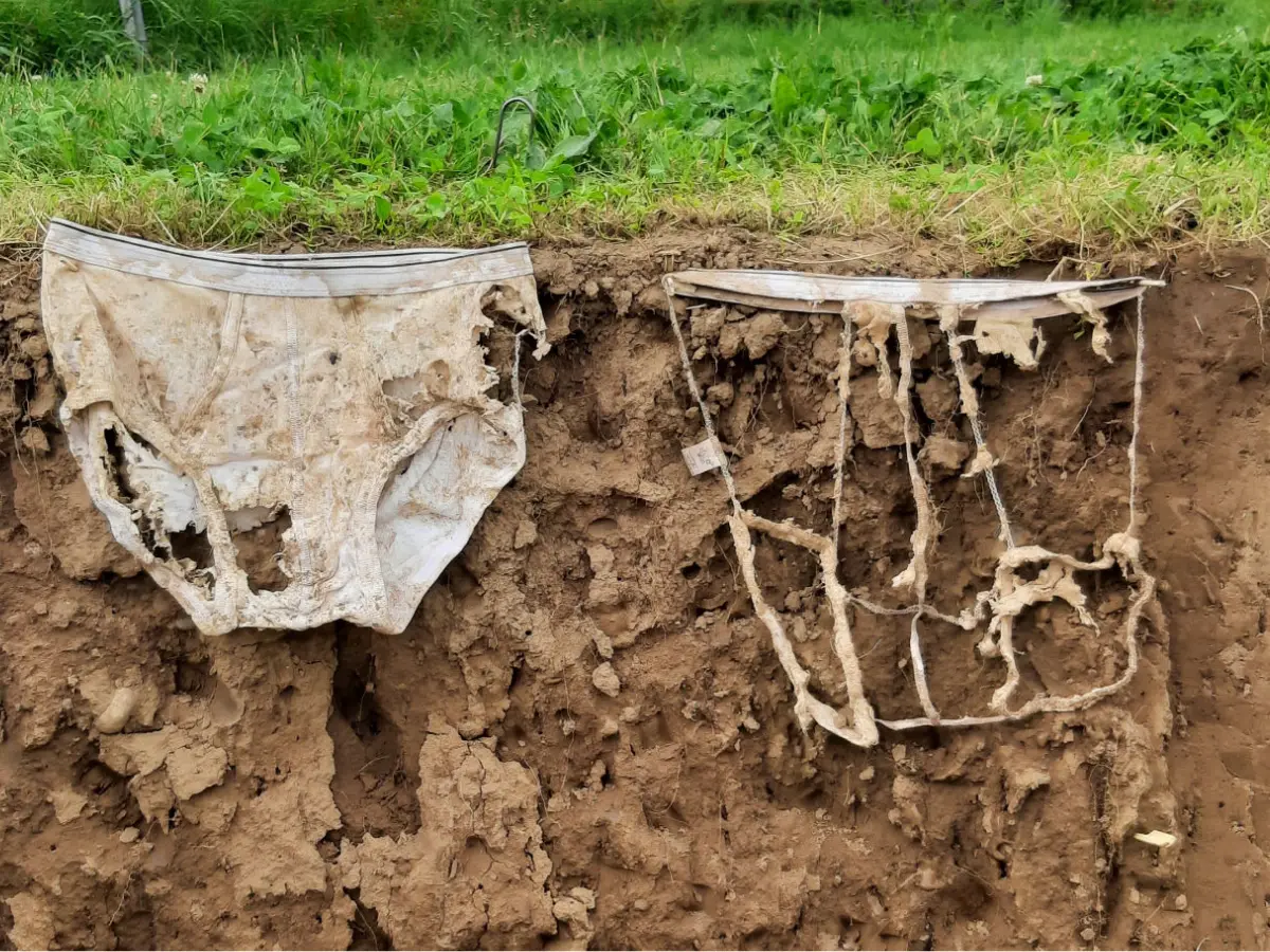 2,000 pairs of underwear buried in Switzerland revealed something startling 2,000 pairs of underwear buried in Switzerland revealed something startling