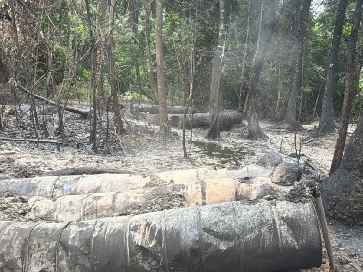 Nigerian Navy disrupts 2 illegal refining sites, recovers 34,000 litres of petroleum products in rivers Nigerian Navy disrupts 2 illegal refining sites, recovers 34,000 litres of petroleum products in rivers