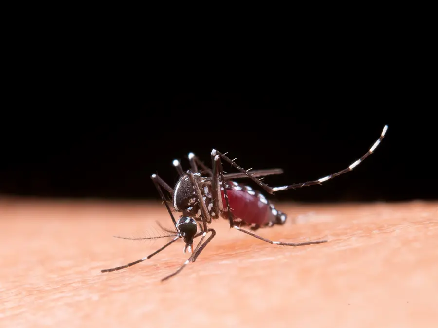 Delhi records highest monthly dengue count this year with 90 cases in August: Check total casualties
