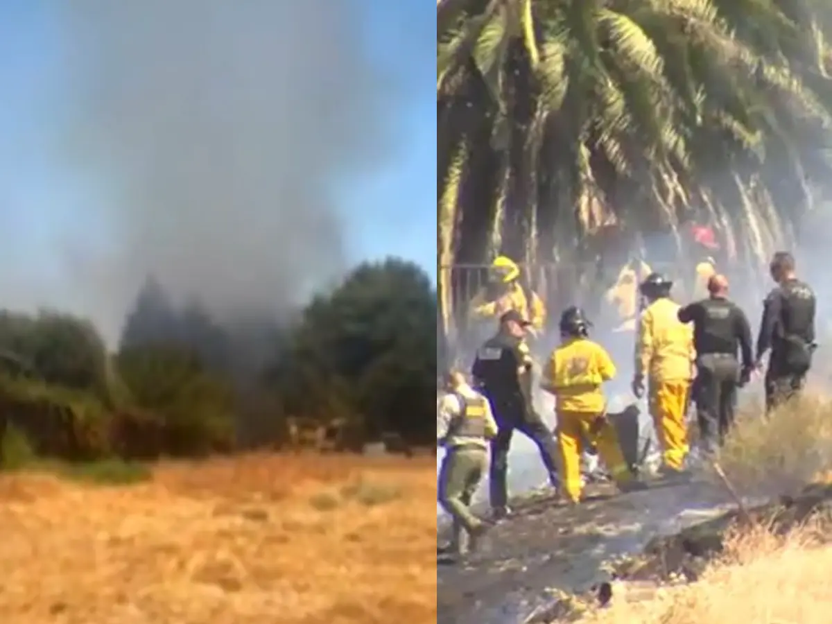 Plane crashes in California's Fresno, leaves 2 dead, 2 injured; probe underway | VIDEO Plane crashes in California's Fresno, leaves 2 dead, 2 injured; probe underway | VIDEO