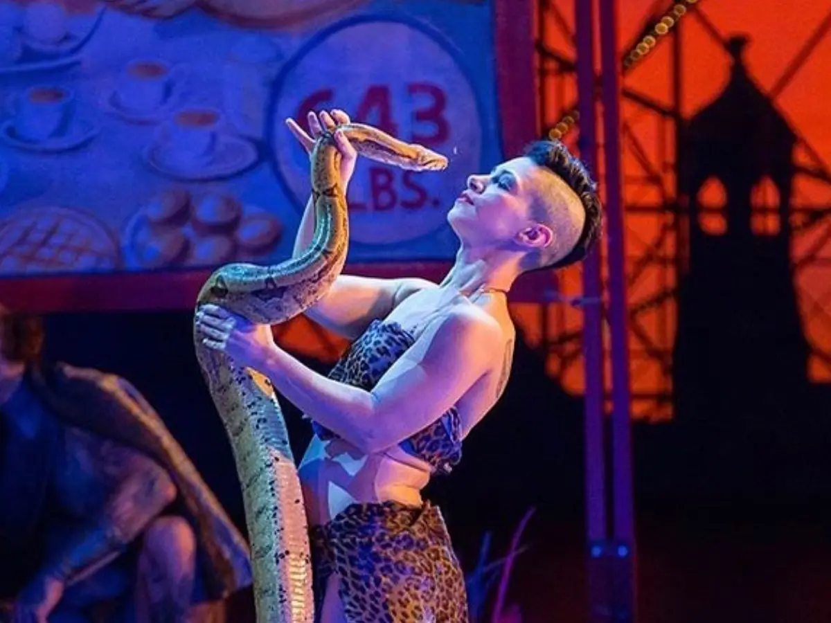 Slither to stage: New York's Metropolitan Opera gets unusual casting call as snakes try out for role Slither to stage: New York's Metropolitan Opera gets unusual casting call as snakes try out for role