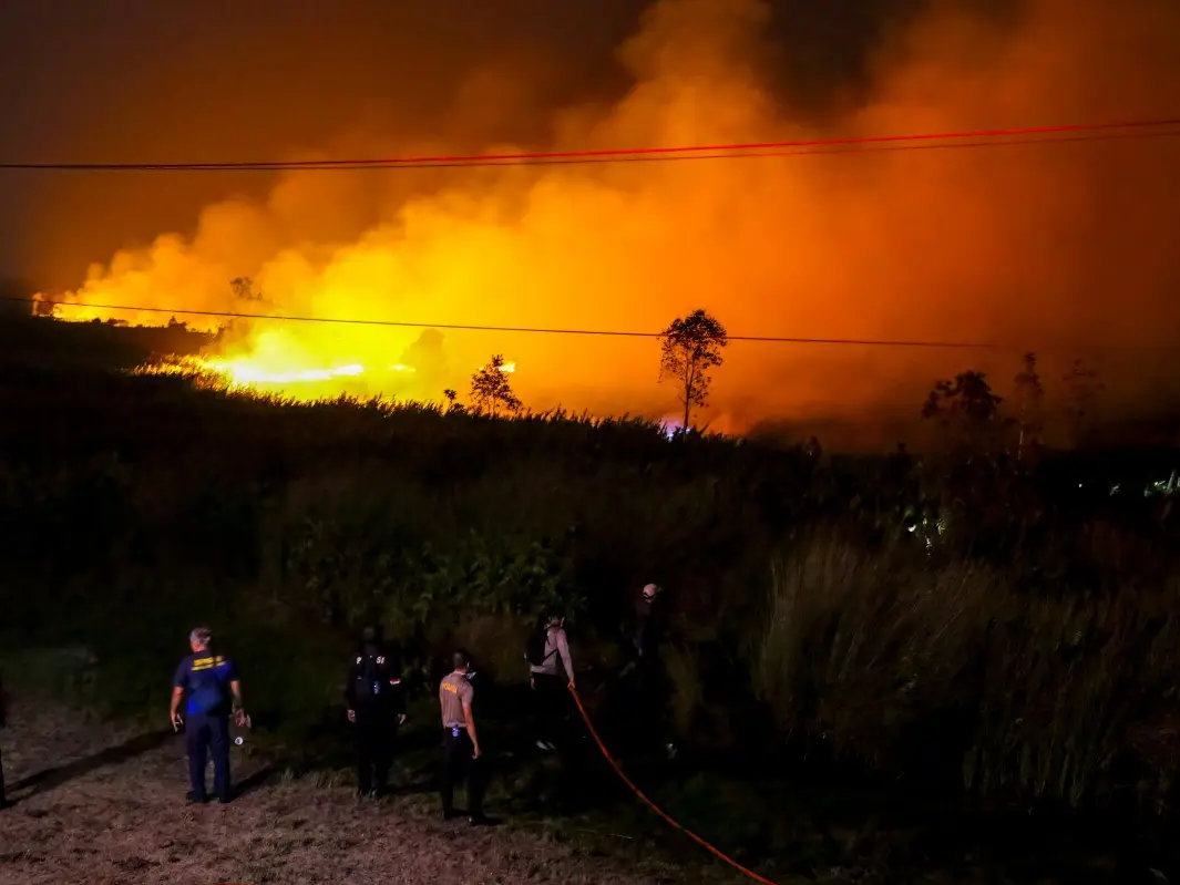Indonesia wildfires: 'Carbon bomb' sickens millions as wildfires ravage ancient reserves Indonesia wildfires: 'Carbon bomb' sickens millions as wildfires ravage ancient reserves
