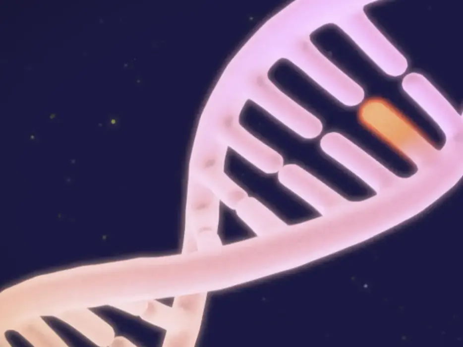Google DeepMind maps 9 billion DNA mutations: How AI could help solve rare diseases Google DeepMind maps 9 billion DNA mutations: How AI could help solve rare diseases